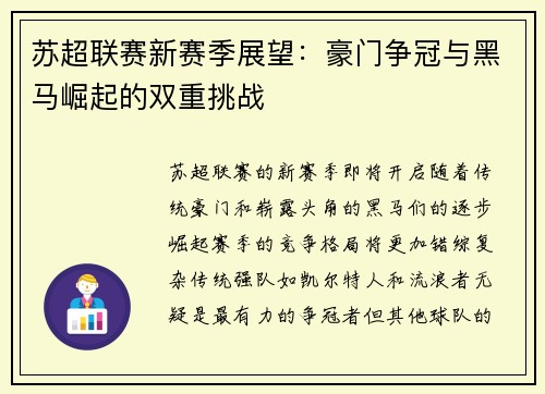 苏超联赛新赛季展望：豪门争冠与黑马崛起的双重挑战