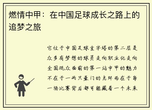燃情中甲：在中国足球成长之路上的追梦之旅