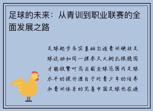 足球的未来:从青训到职业联赛的全面发展之路